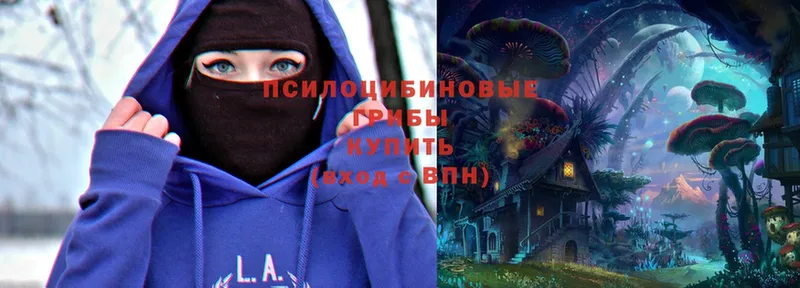 KRAKEN сайт  Кубинка  Псилоцибиновые грибы Magic Shrooms  купить наркотики цена 